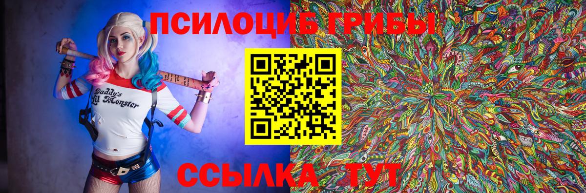 Псилоцибиновые грибы Cubensis  Вход с VPN  Карабулак 