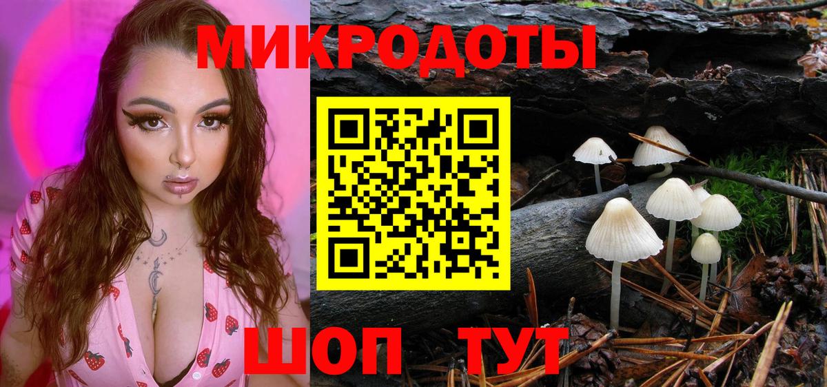Псилоцибиновые грибы прущие грибы Карабулак